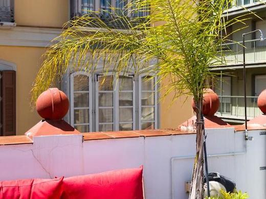 The Urban Jungle Hostel