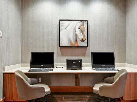 SpringHill Suites by Marriott Denver at Anschutz Medical Campus