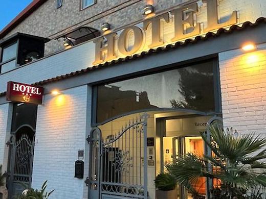 Hotel Euro House Rome Airport