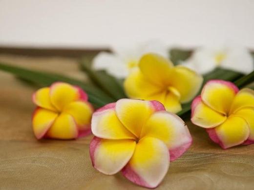 Anantara Vacation Club Legian