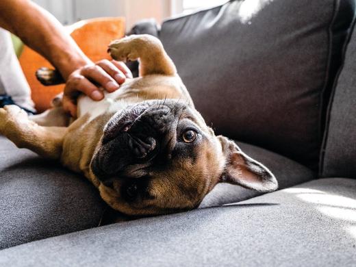 Holiday Inn Calgary Airport
