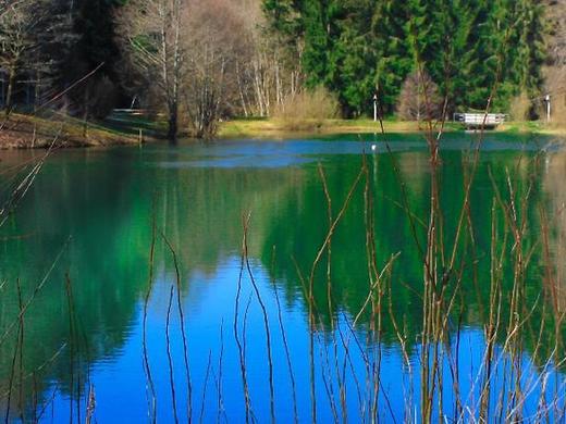 Hotel-Resort Waldachtal - Adults only