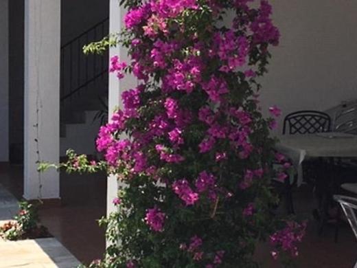 Studio Apartments 6 Palmi