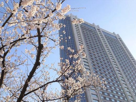 Tokyo Dome Hotel