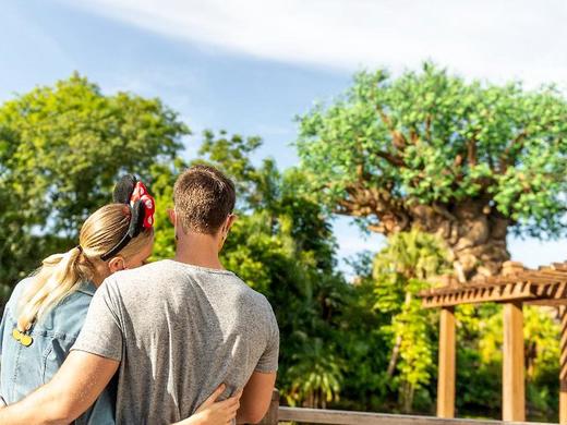 Disney's All-Star Resorts - Sports Resort