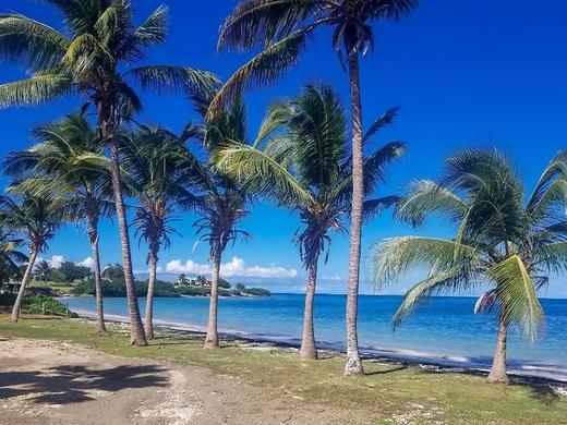 Lord Nelson Hotel & Residences