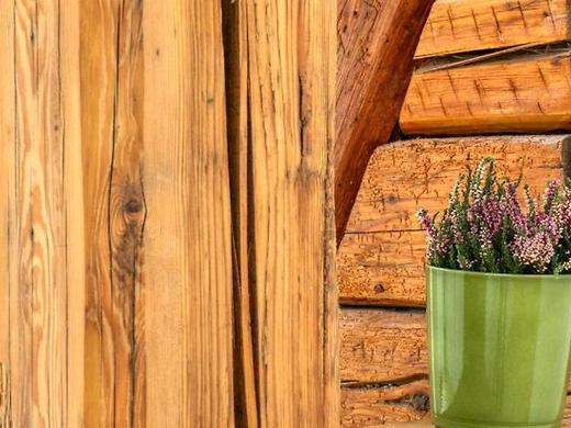 Bunter Bock  Die Harz-Urlaubs-Alm