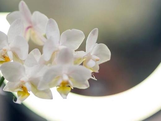 Park Hotel & Spa Katharina