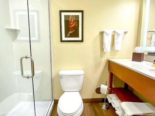 Best Western Plus Inn Of Williams