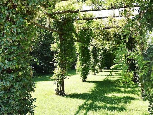 Agriturismo Ca' Danieli