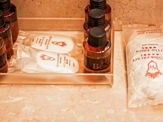 Viktoria Palace Hotel