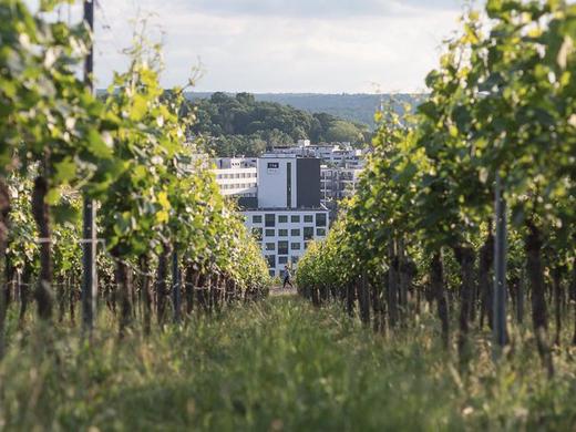 Holiday Inn - the niu, Form