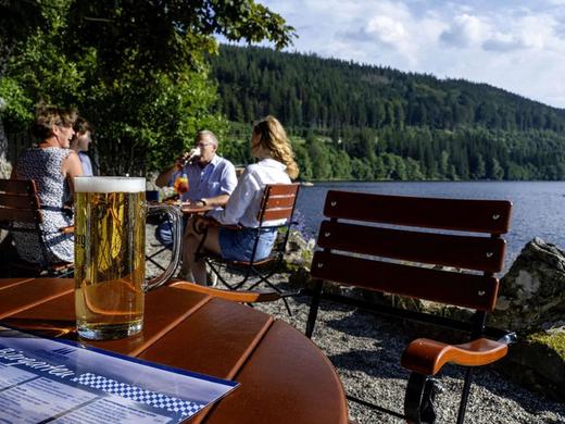 Maritim TitiseeHotel Titisee-Neustadt