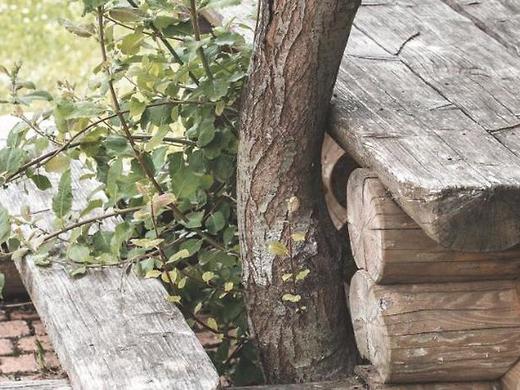 Sfendamos Wood Village