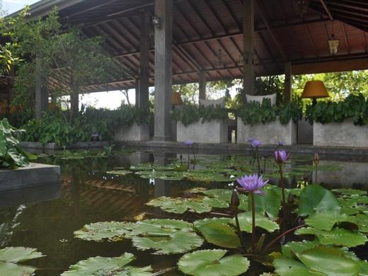 Amaara Forest Hotel Sigiriya