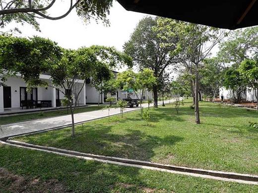 Oak Ray Elephant Lake