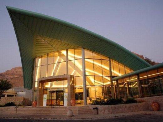 Prima Hotels Dead Sea Oasis