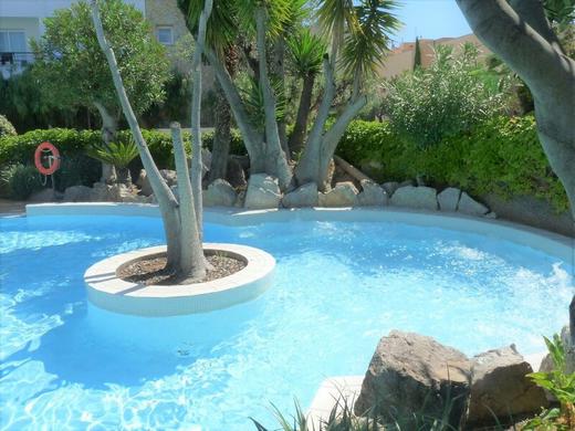 FERGUS Club Pineda Splash