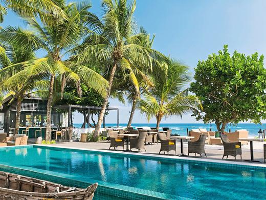 Owl and the Pussycat Hotel