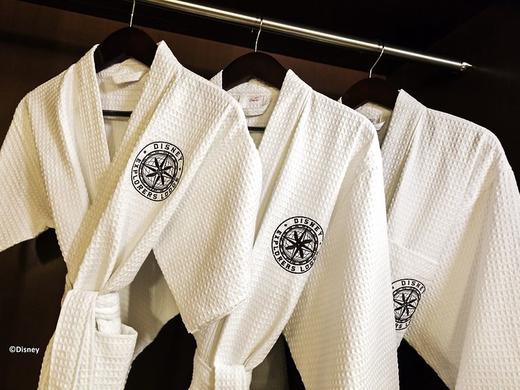 Disney Explorers Lodge