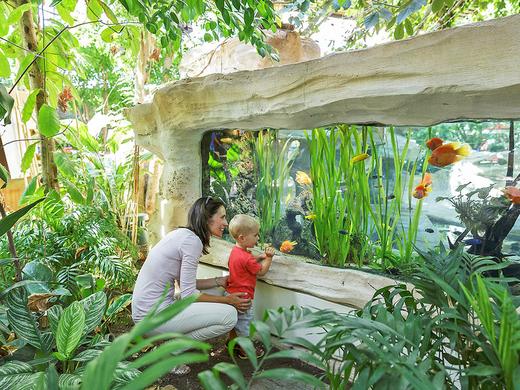 Center Parcs - Les Trois Forêts