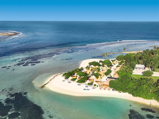 The Maverick Surf & Dive