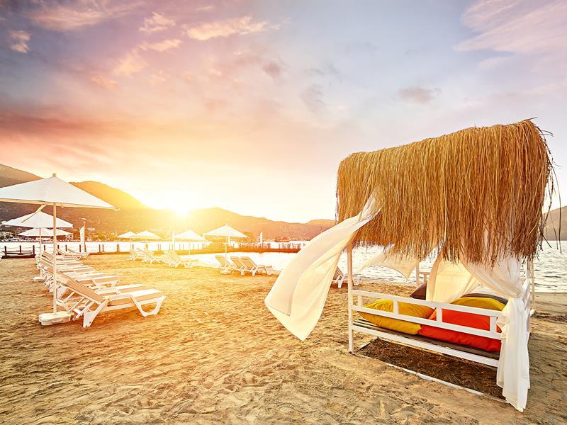 C869F734DE416E848B5FB268AFBC4F11