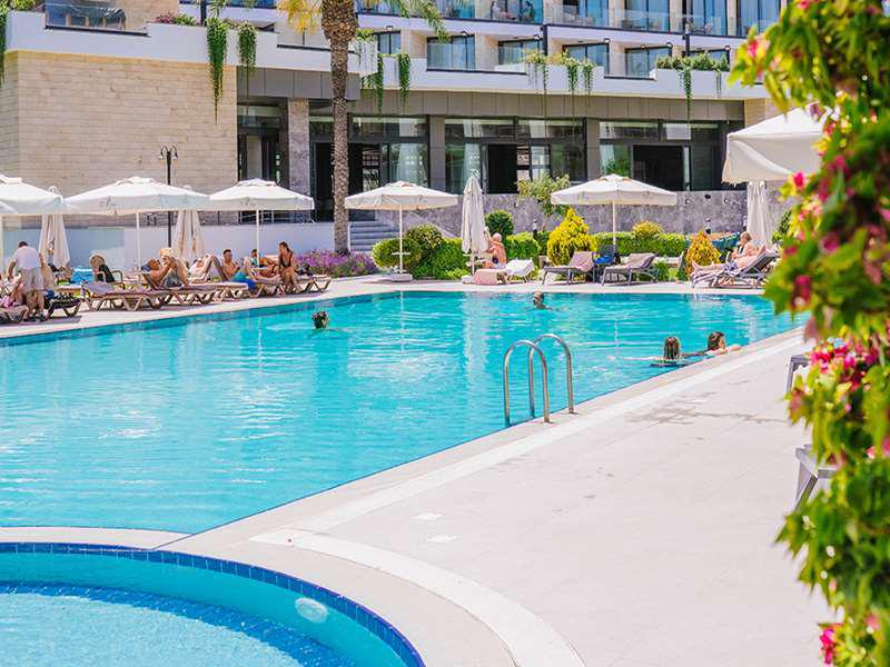 F4E844F423B089C8893393D7BD78A5F2