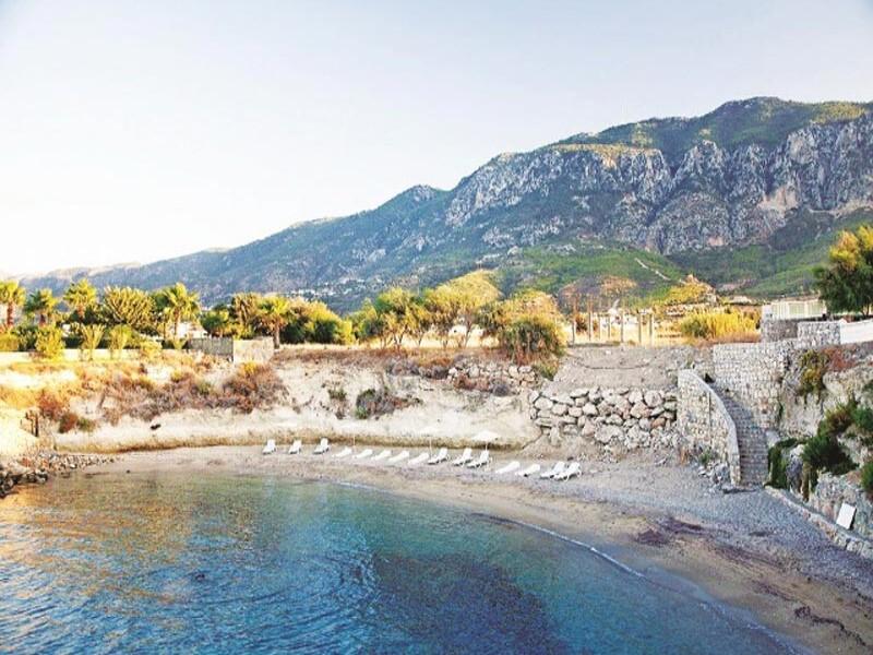 D133C3BEBD5B5801608D5342A4ABBEF8