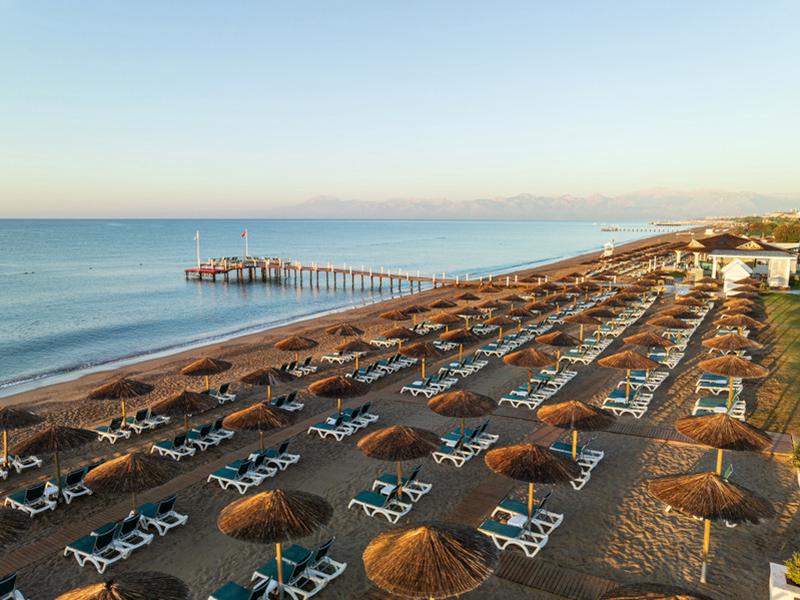 2CA5CC47FF1F42924701696D33C75EF8