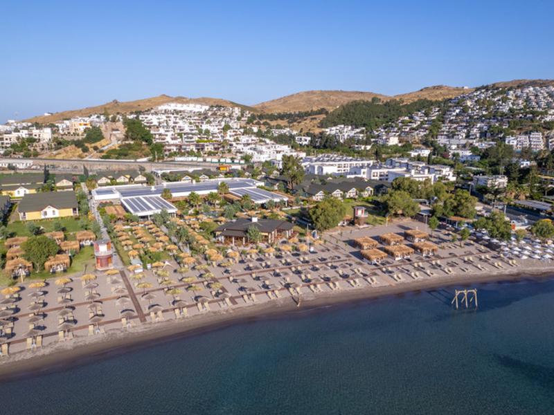 C35C26ED7AEC4332128893CC907856DF