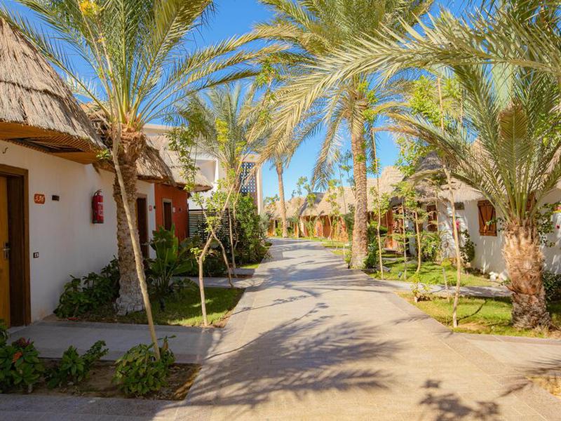 F8BE47521F8FE0C0B1CCAB620658A921