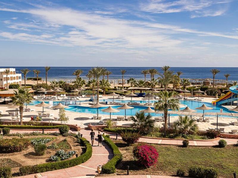 09A69D07DDED7E1C419498E813B00C9E