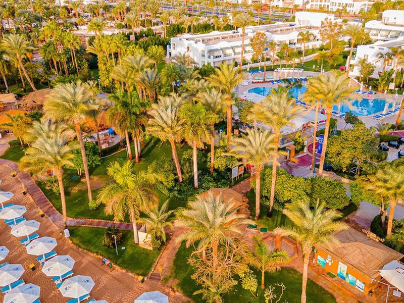 20A9156FEF76357798C4F4E855990656