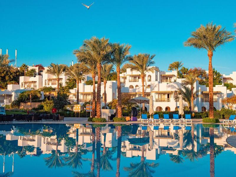 8EFD4BCD234A8EA66C48F691DDD8E502