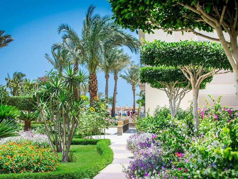 0951CB2E2133D35BB6244A6495CB09B6