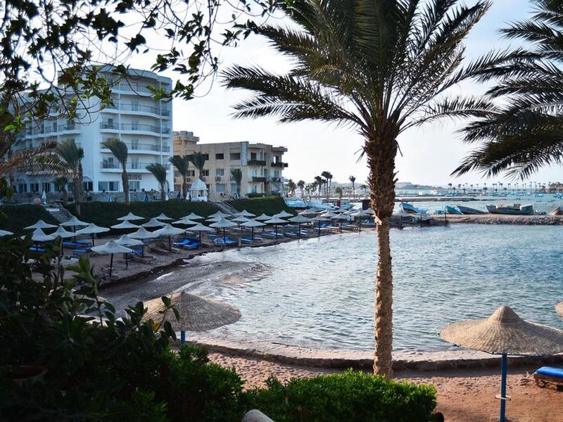 731AD3EE7BBD09E4CEE6A21CA66A129E