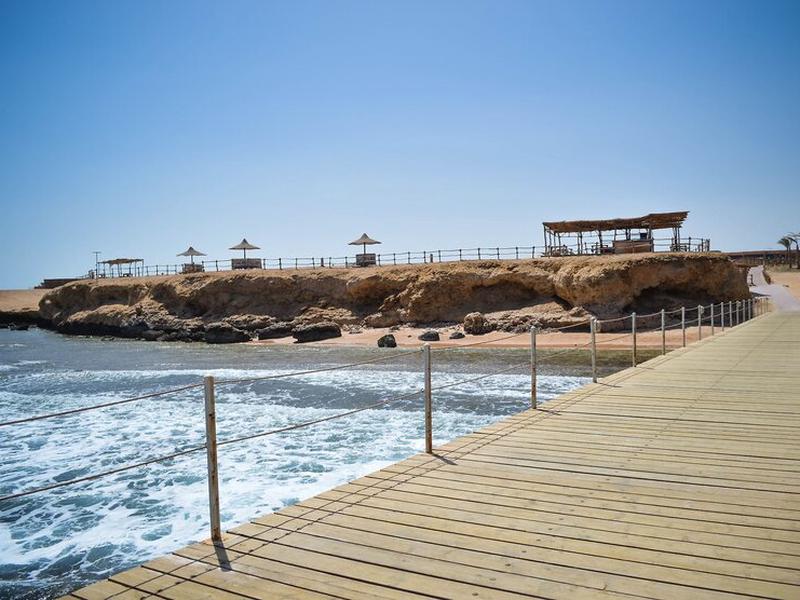 ED7696F53F05113BA7BDD5A2C6536C66