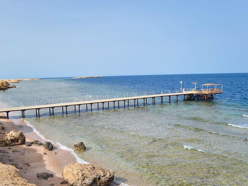 366D1FEF5FF97D222B866744A06ED8A2