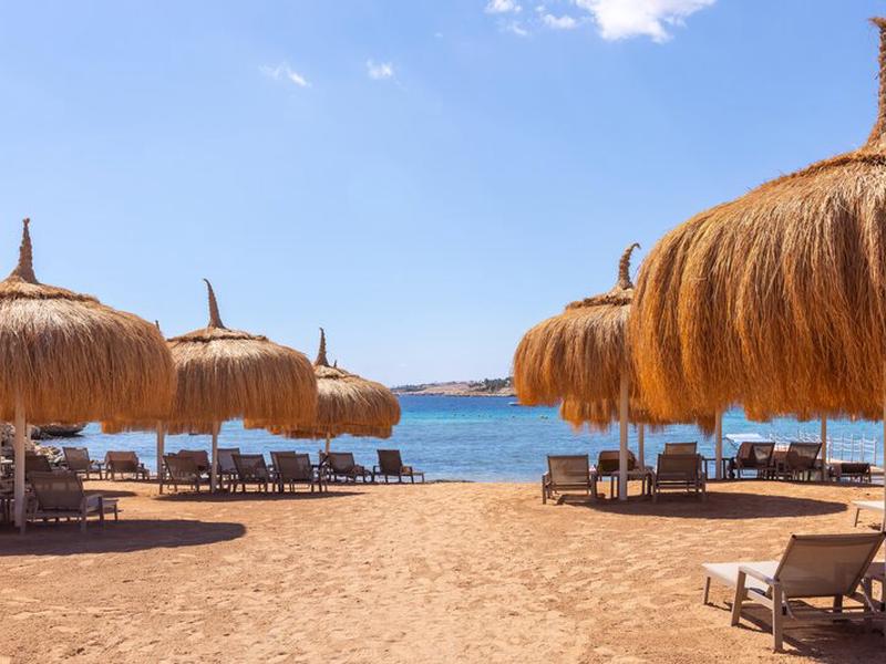 0DEA8513E1384AB1890C7C0ABB360BF2