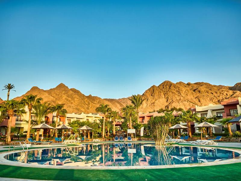 E259D20A1AEF0E8863A22111BA652A04