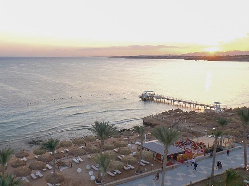 B7C9E9088D96E8FD921A9BBAA6878676