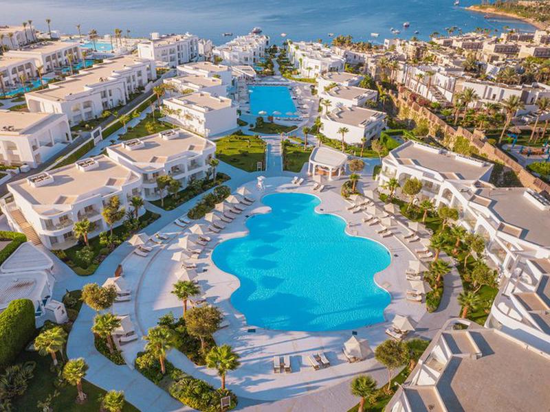 AA3F87AC1B625BA8026C1690B0483119