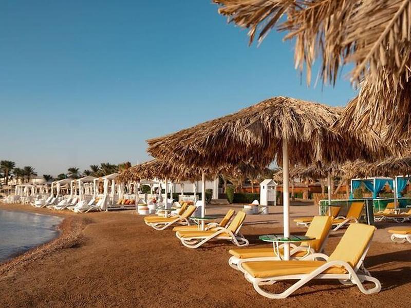 D1EB99B979DAE877F5A072313AFF441F