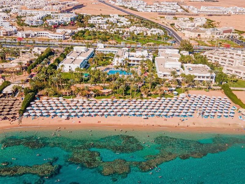 0AEE1686086DB20F611FE1AD823A3E26