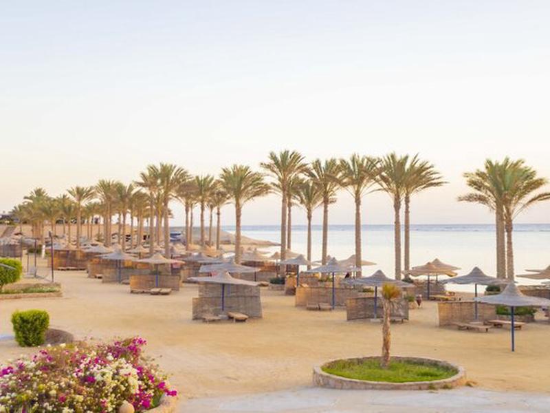 1F573BC4CD5AA235A3420BE1DD8B7A9D