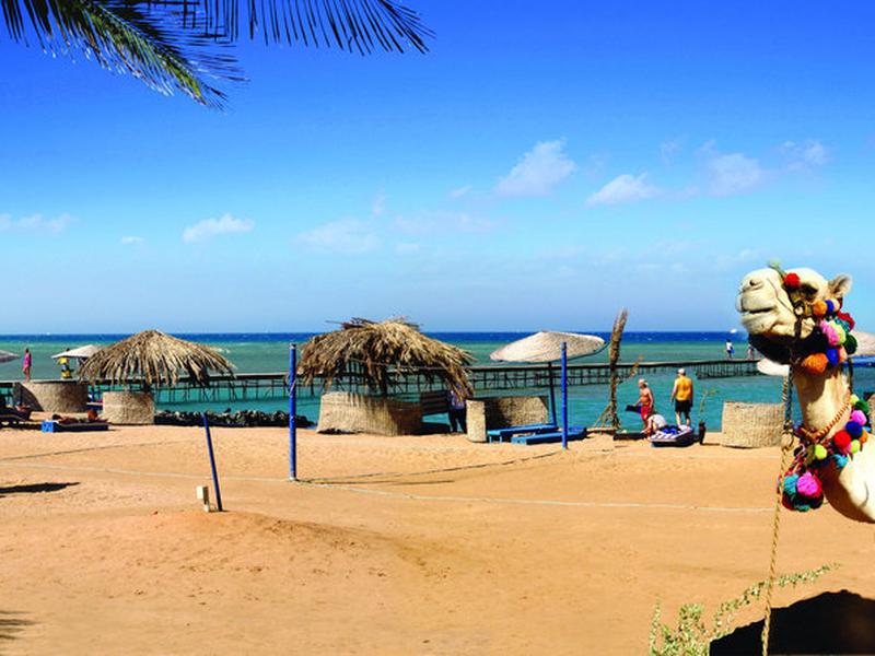 22A1A224C19FF9D059CC88F716942C62