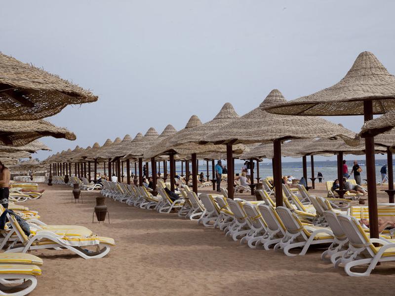 E4490BE26E80169480A7E4A448E3D757