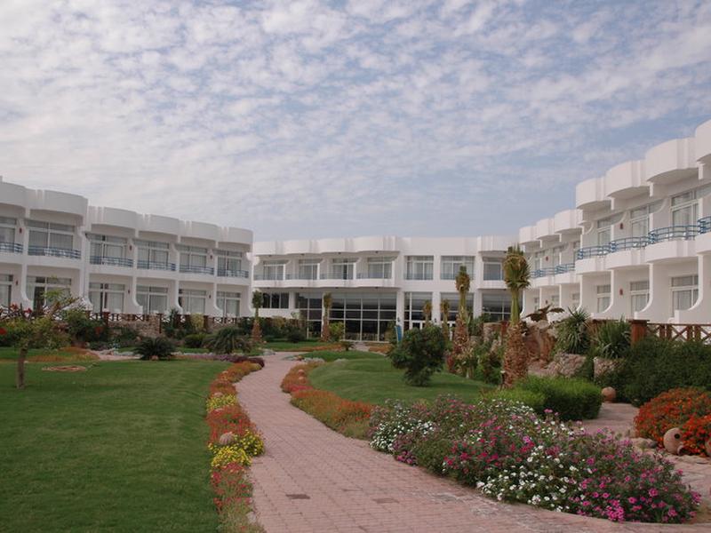 31FF0DEEE42D986428FA2B2E95CFD1CD