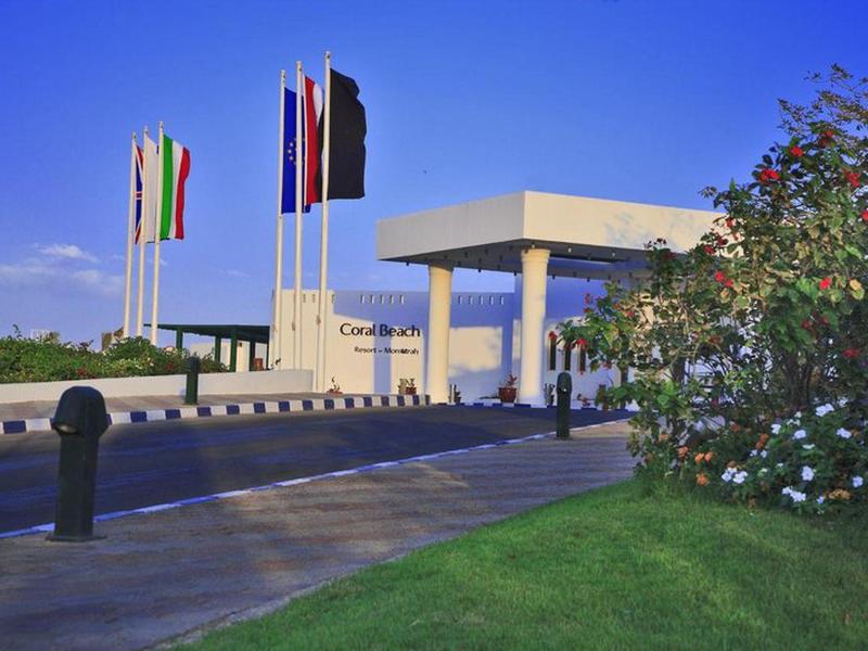 01ACECED41A0F9773DEFDA55C2E8D0F4